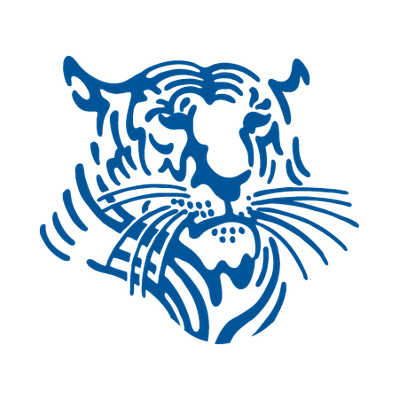 Town School for Boys